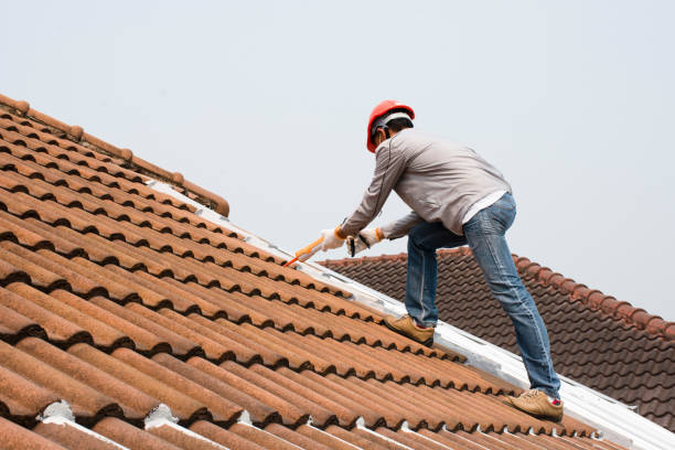 Best Roof Coating and Sealing  in Dunwoody, GA