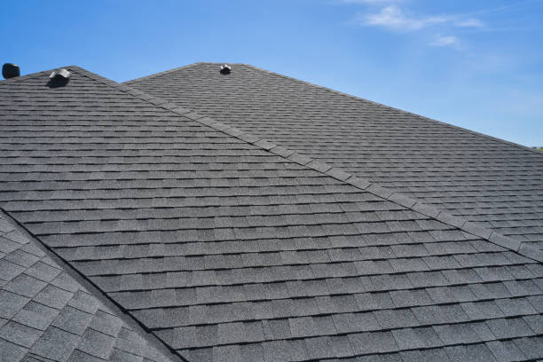 Best Roof Ventilation Installation  in Dunwoody, GA